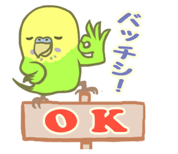 Spirited seki-chan of the budgerigar sticker #14559836