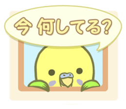 Spirited seki-chan of the budgerigar sticker #14559844