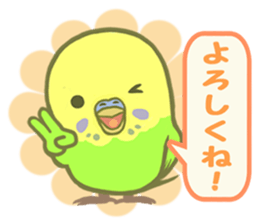 Spirited seki-chan of the budgerigar sticker #14559848