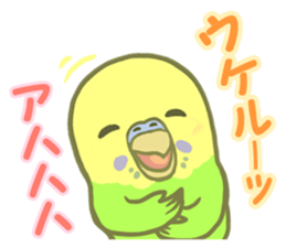 Spirited seki-chan of the budgerigar sticker #14559853