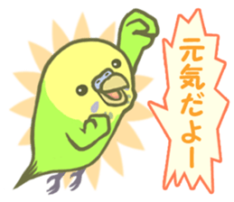 Spirited seki-chan of the budgerigar sticker #14559854