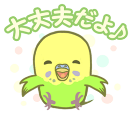 Spirited seki-chan of the budgerigar sticker #14559857