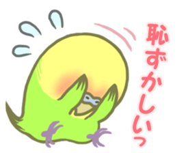 Spirited seki-chan of the budgerigar sticker #14559858