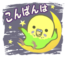 Spirited seki-chan of the budgerigar sticker #14559859
