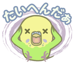 Spirited seki-chan of the budgerigar sticker #14559860