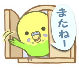 Spirited seki-chan of the budgerigar sticker #14559861