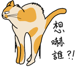 Mia the cat sticker #14559870