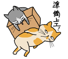 Mia the cat sticker #14559871