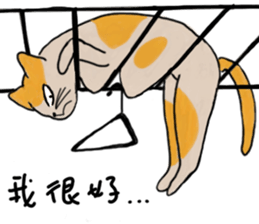 Mia the cat sticker #14559874