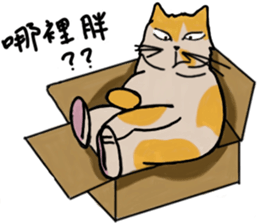 Mia the cat sticker #14559879