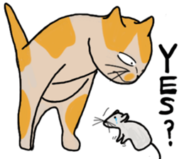 Mia the cat sticker #14559883