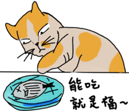 Mia the cat sticker #14559884