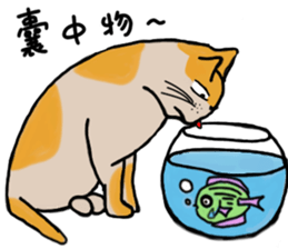 Mia the cat sticker #14559885