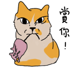 Mia the cat sticker #14559887