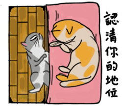 Mia the cat sticker #14559889