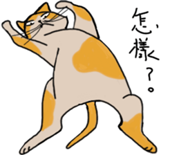 Mia the cat sticker #14559893