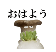 Moving Vegetables sticker #14560849