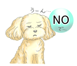A little fat Toy poodle sticker #14562496