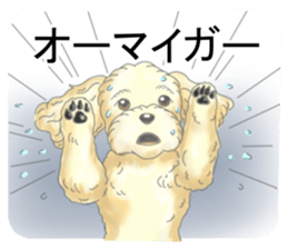 A little fat Toy poodle sticker #14562507