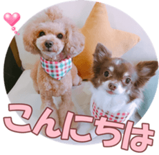 poodlefan sticker #14563494