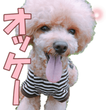 poodlefan sticker #14563500