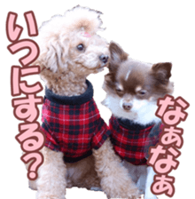 poodlefan sticker #14563502