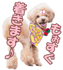 poodlefan sticker #14563504