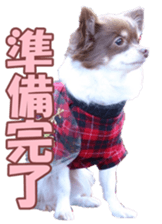 poodlefan sticker #14563506