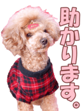 poodlefan sticker #14563510