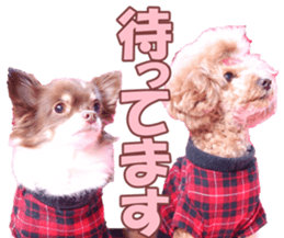 poodlefan sticker #14563511