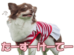 poodlefan sticker #14563516