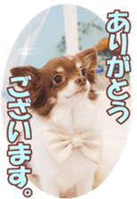 poodlefan sticker #14563517