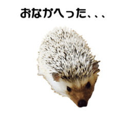 BURASHI sticker #14563518