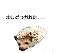 BURASHI sticker #14563520