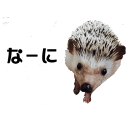 BURASHI sticker #14563522