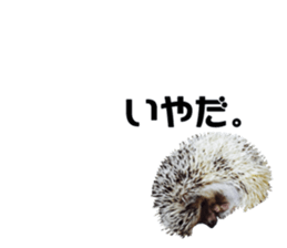 BURASHI sticker #14563525