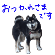 kuroshiba Yusuke sticker sticker #14564307