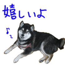 kuroshiba Yusuke sticker sticker #14564309