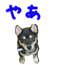 kuroshiba Yusuke sticker sticker #14564310