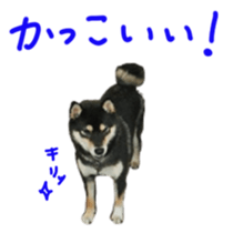 kuroshiba Yusuke sticker sticker #14564315