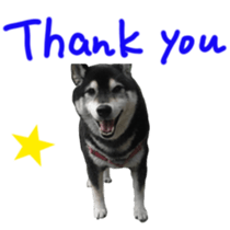 kuroshiba Yusuke sticker sticker #14564316