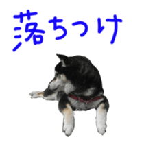 kuroshiba Yusuke sticker sticker #14564326