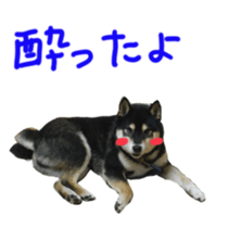 kuroshiba Yusuke sticker sticker #14564327