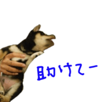 kuroshiba Yusuke sticker sticker #14564330