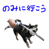 kuroshiba Yusuke sticker sticker #14564333