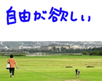 kuroshiba Yusuke sticker sticker #14564336