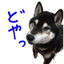 kuroshiba Yusuke sticker sticker #14564341