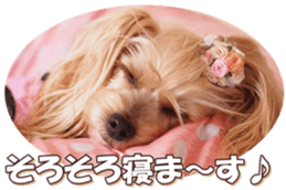 yorkiefan sticker #14566121