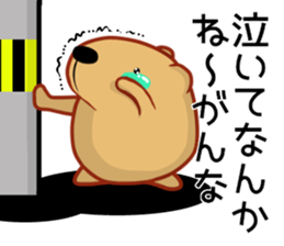 Kyapibara Ibaraki dialect sticker #14568496