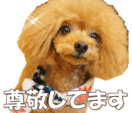 doggiesfan6 sticker #14568624